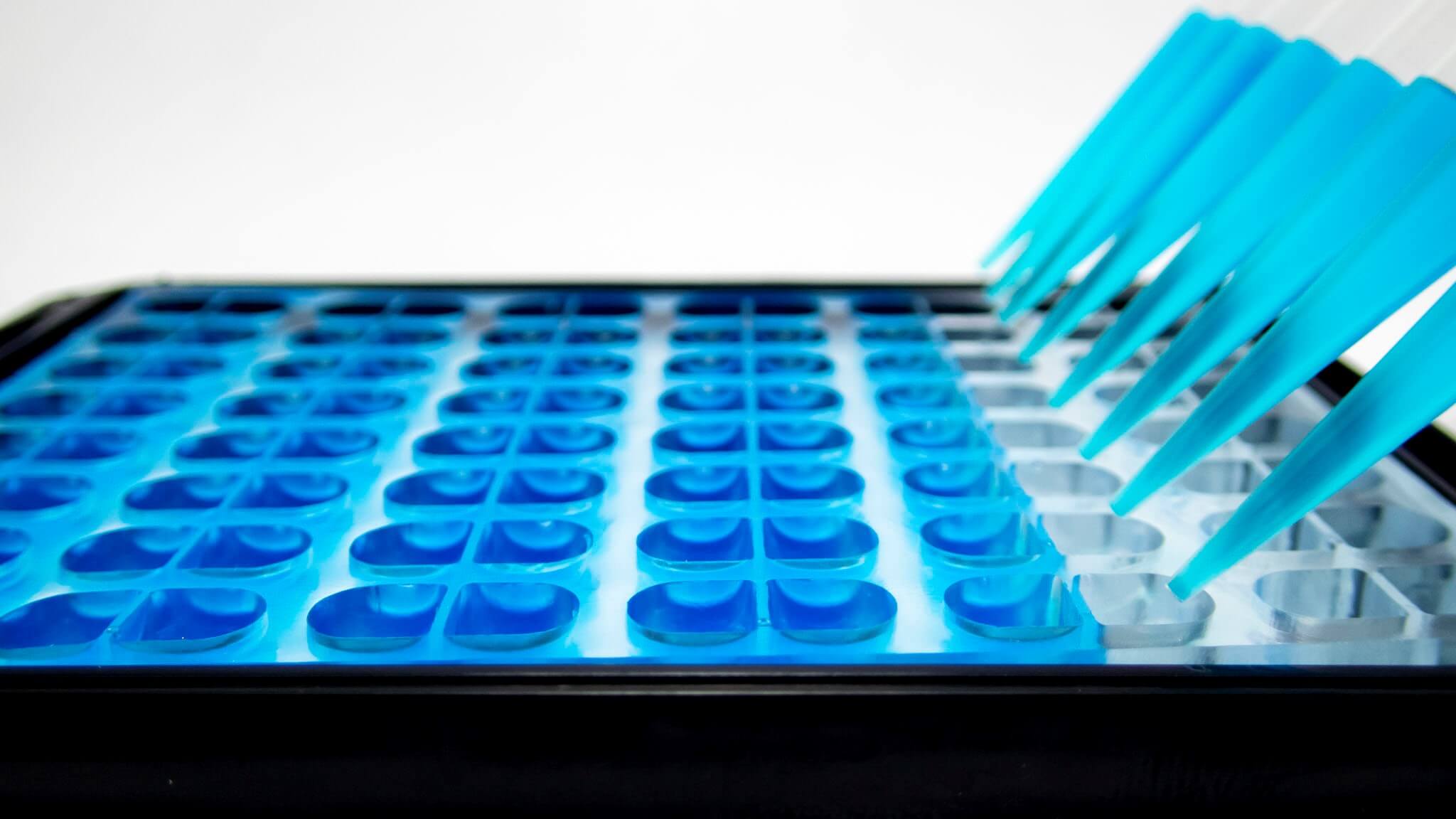 Winner small image - eNUVIO